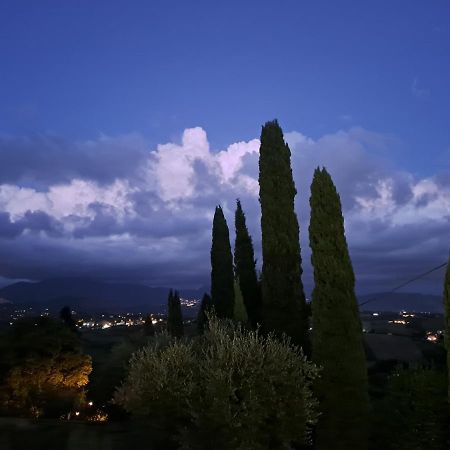 Villa The Green Door - Casa Vacanze Vicino A Roma Fonte Nuova Eksteriør billede